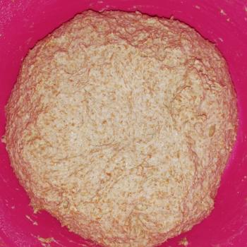 Shatana's starter Wholegrain sourdough bread first overview