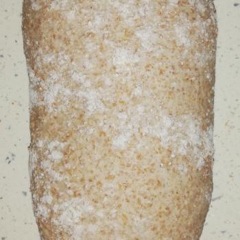 Shatana's starter Wholegrain sourdough bread second overview