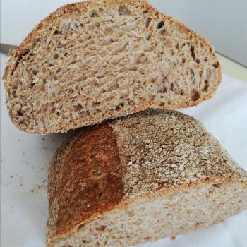 Shatana's starter Wholegrain sourdough bread second slice
