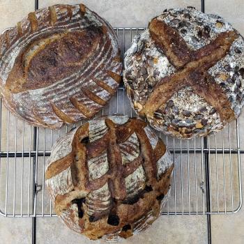 Shotwell Jane Dough Loaf second overview