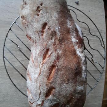 Sila recipe