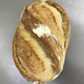 Silenca Damm Bread first overview
