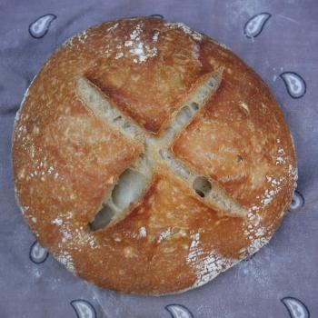Sinchu Omar Starter Sourdough Boule first overview