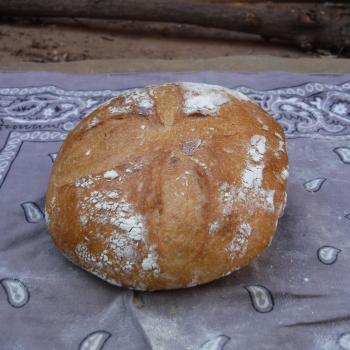Sinchu Omar Starter Sourdough Boule second slice