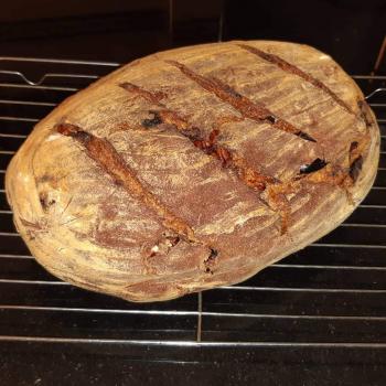 Sir Foams a Lot Loaves first overview