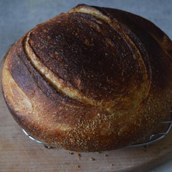 Sky Pilot Loaf first overview