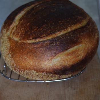 Sky Pilot Loaf second overview