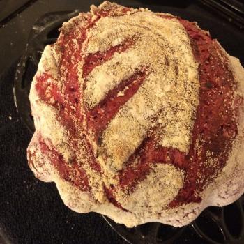 Solveig Beetroot Sourdough first overview