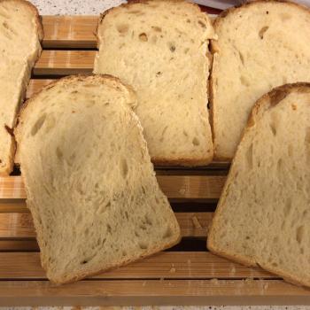 Sophia Sandwich bread first overview