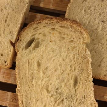 Sophia Sandwich bread second overview