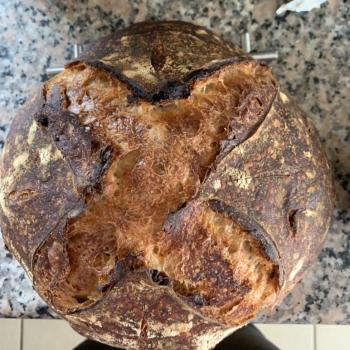 Sourpuss Sourdough with chestnuts and nutmeg first overview