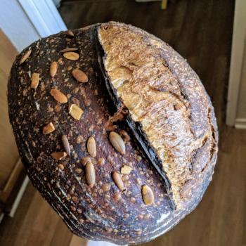 Sourpuss Sourdough with pumpkin seeds first overview