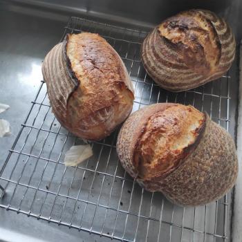 Southern gold recipe