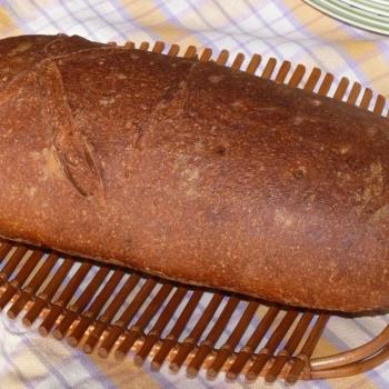 stare ciasto Daily bread first overview
