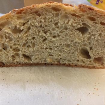 Starter recipe