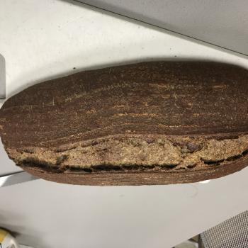 Storage starter Fred Bread first overview