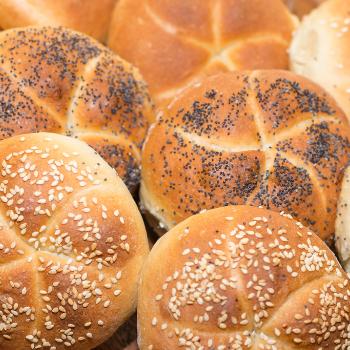 Susie Buns and Rolls: first overview