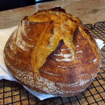 Symphony Extreme Fermentation Boule first overview