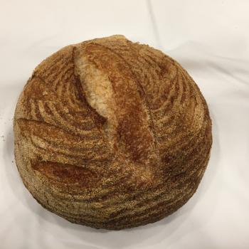Tartine Starter FriendBread first overview