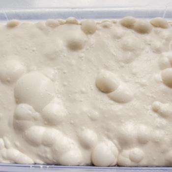 Terente Breads, sweet doughs, enriched doughs, waffles and many more second overview