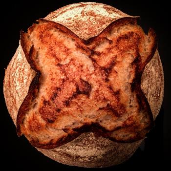 terra Sourdough bread first overview