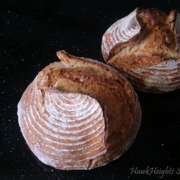 The Mothership HawkHeights Sourdough second overview