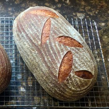 The Red Shed Baker's Field Flour second overview