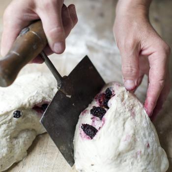 The Sourdough School  Breads first overview