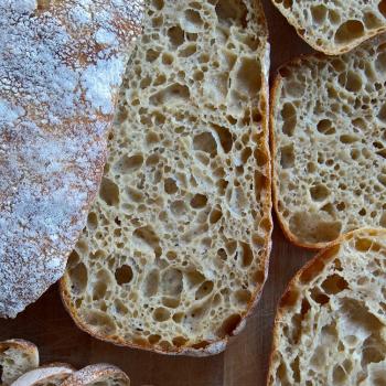TheBees Croissants, Baguettes, Ciabatta, Steam Bun, Brioche, Pizza.. second overview