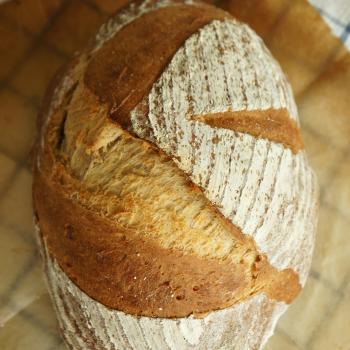 Thomas Wholegrain Story first overview