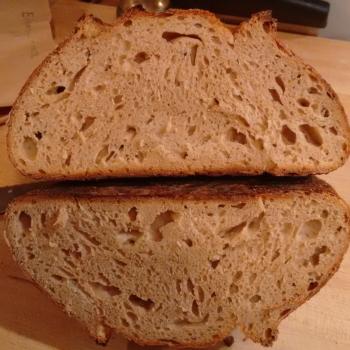 Tony Edison whole wheat & Glenn Emmer whole wheat second overview