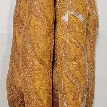 Tranquility Acres Levain Baguette first overview