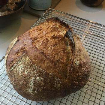 Trogi recipe