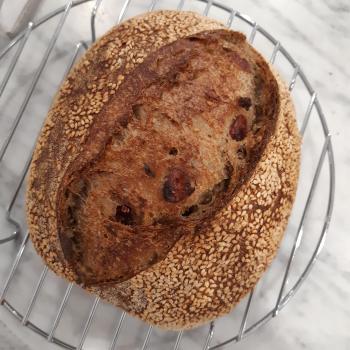 V9 Cranberry Whole What Bread first overview