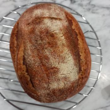 V9 Oregano Bread second overview