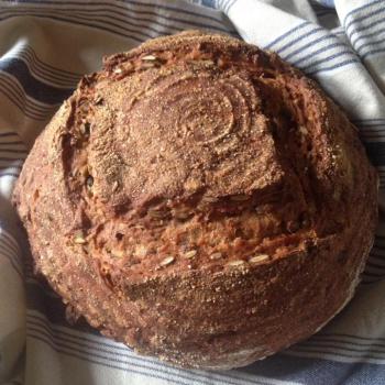 Vera Bread second overview
