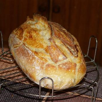 vilekula AKA Sunny sourdough first overview
