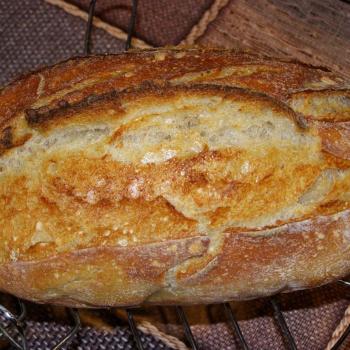 vilekula AKA Sunny sourdough second overview