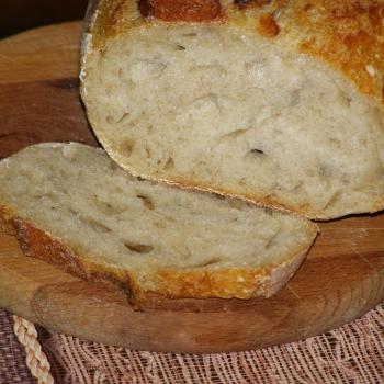 vilekula AKA Sunny sourdough first slice