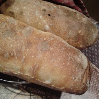vilekula Oat bisquits, ciabatta second slice