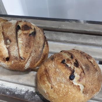 Zakvasochka Dried Cranberry Wheat Bread first overview