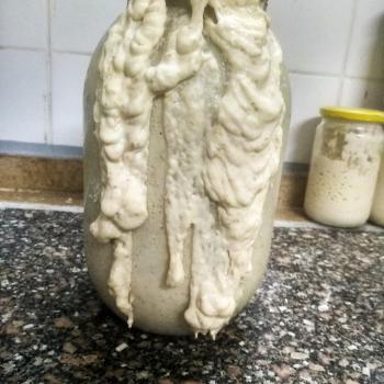Abori recipe