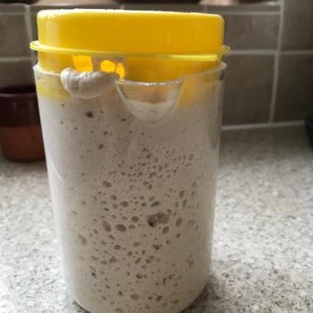 Albert recipe