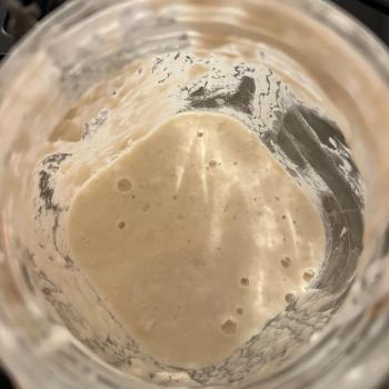 Alice’s starter jar shot