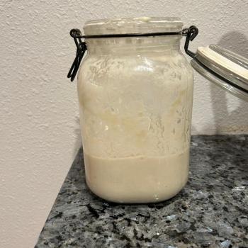 Alice’s starter recipe