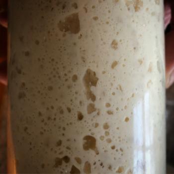 Aoito recipe