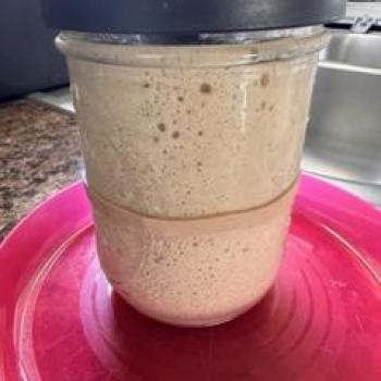 Arthur recipe