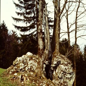 Berimandltoag recipe