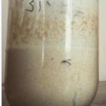 Bitik recipe