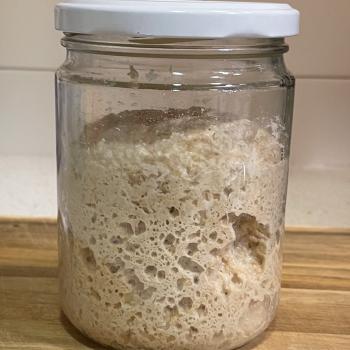 Blat-integral-1 recipe